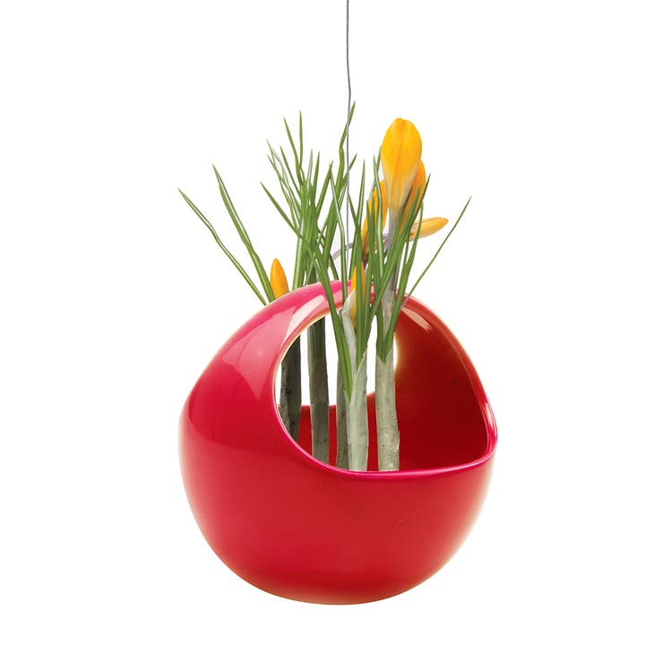 Chive - Vente Jardinière suspendue - Suspension pour plantes grasses3