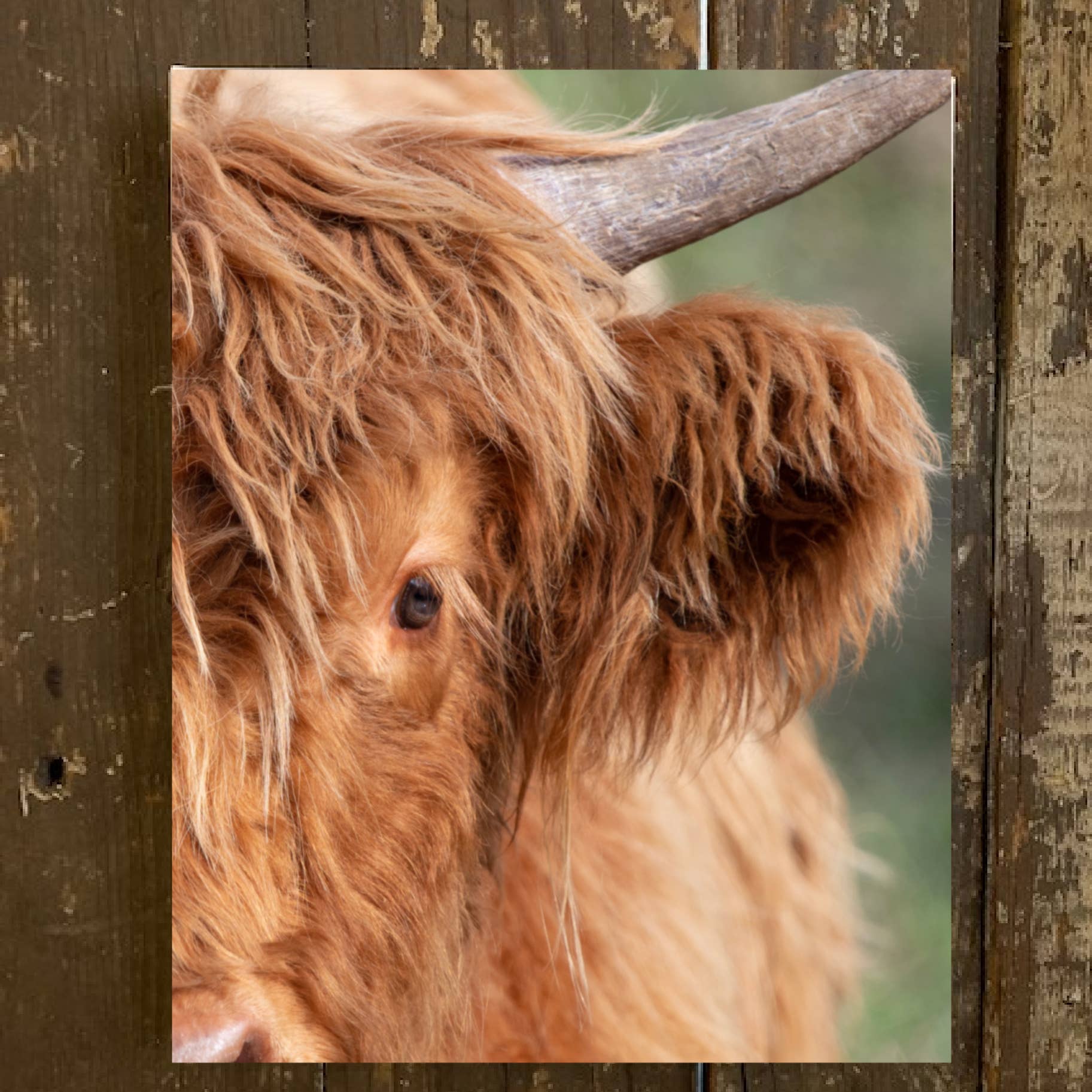 highland cow decor garland,for highland cow lovers Highland cow highland cow gift bunting 