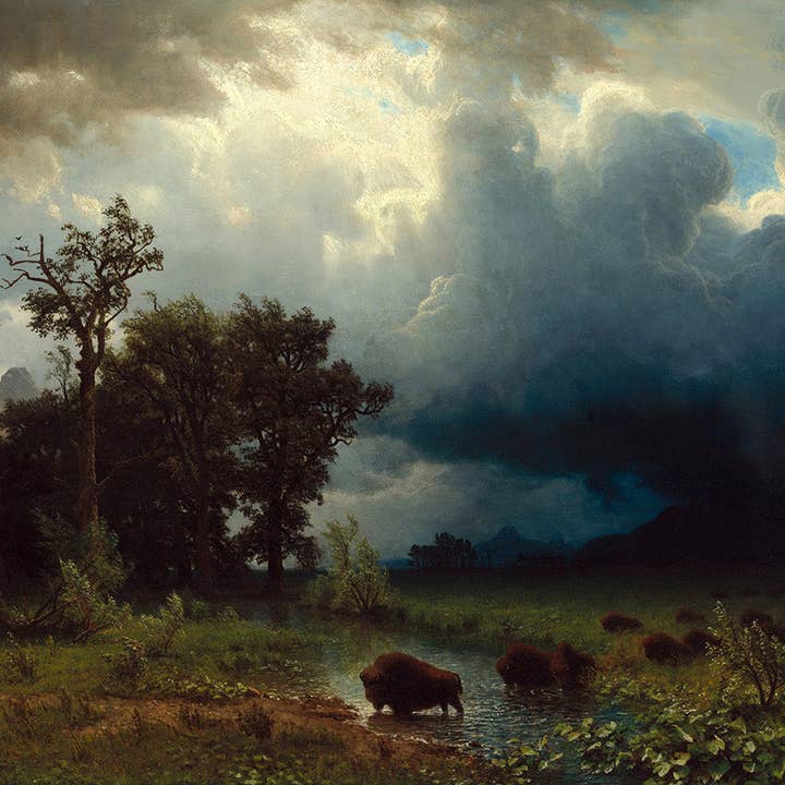Keep Calm Collection - Wholesale Art Print - Buffalo Trail: The Impending Storm by Albert Bierstadt