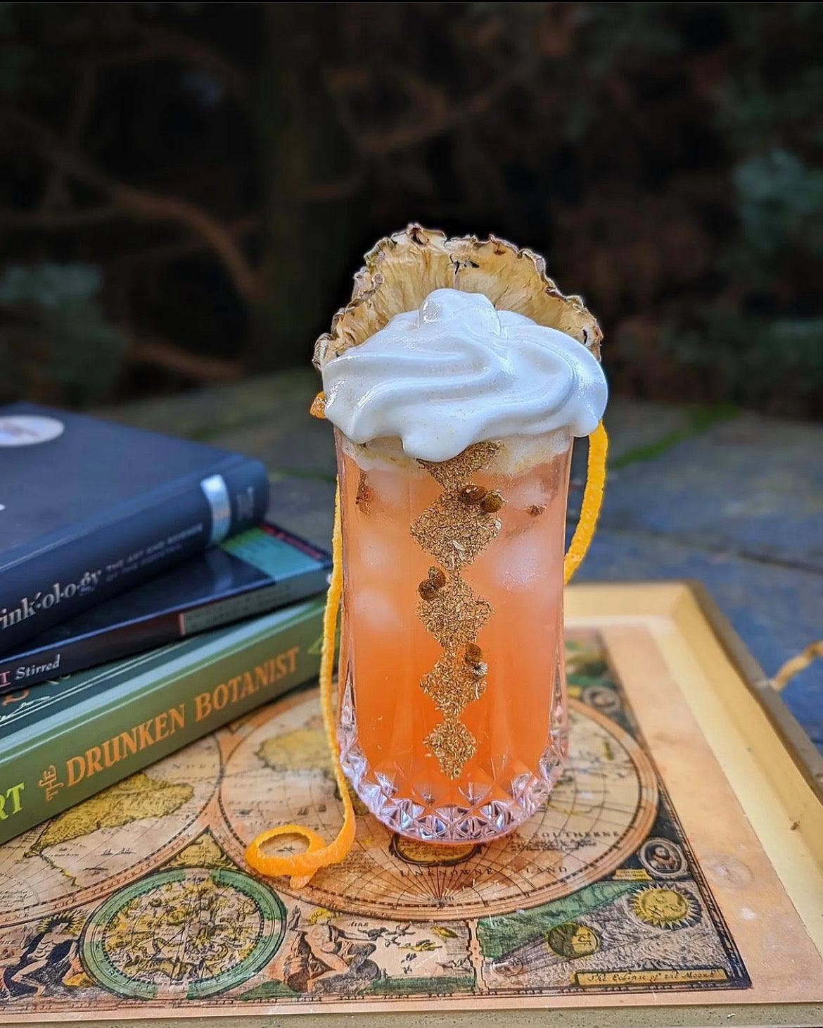 Cocktail Garnish Co. - Vente Fruits secs/déshydratés - Tranche d'ananas déshydratée (avec écorce), 14 tranches4