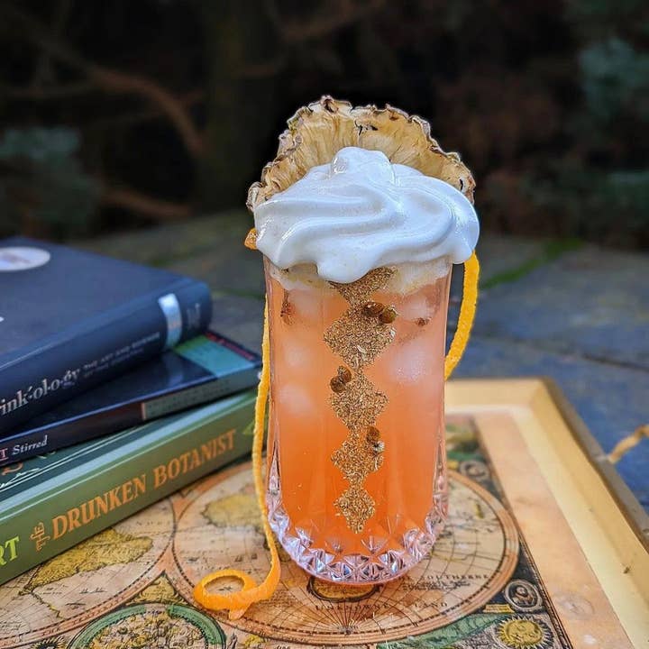 Cocktail Garnish Co. - Vente Fruits secs/déshydratés - Tranche d'ananas déshydratée (avec écorce), 14 tranches4