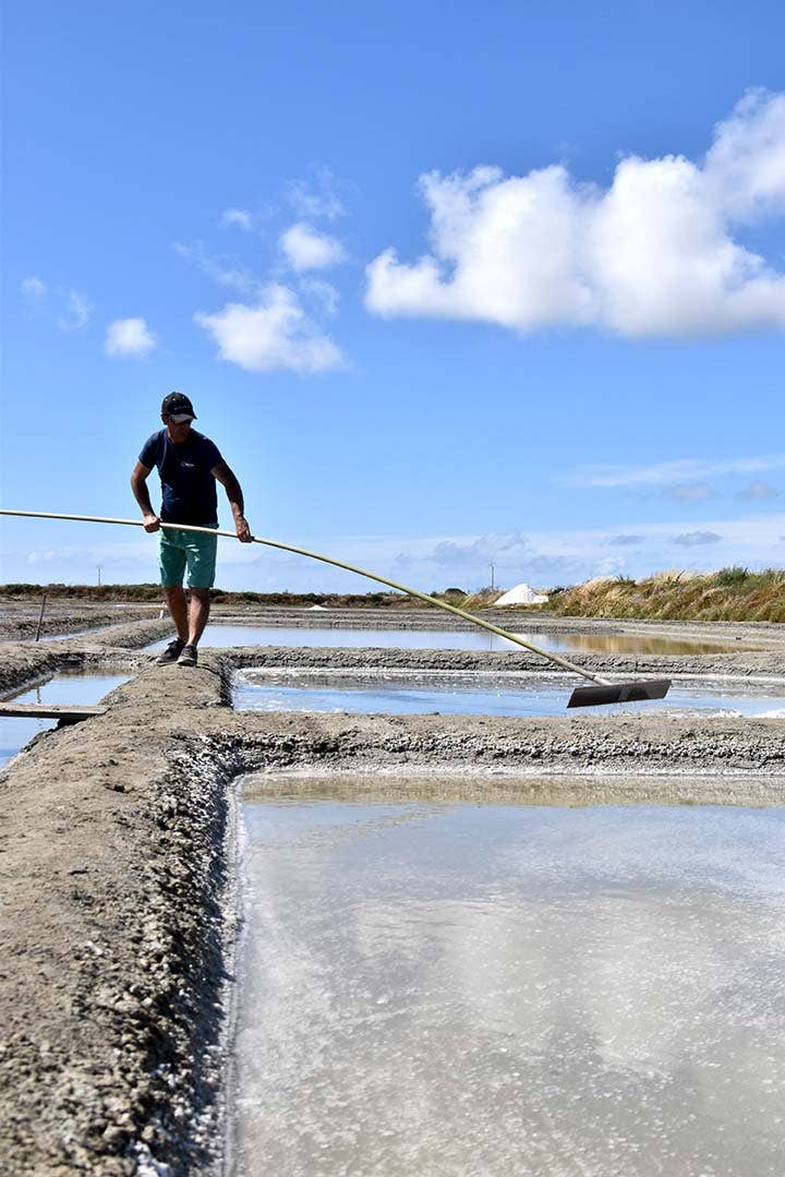 Artisans du sel – Großhandel Salz-Pfeffer-Mischung – Fleur de Sel de Guérande & Schwarzer Pfeffer 100g Bio3