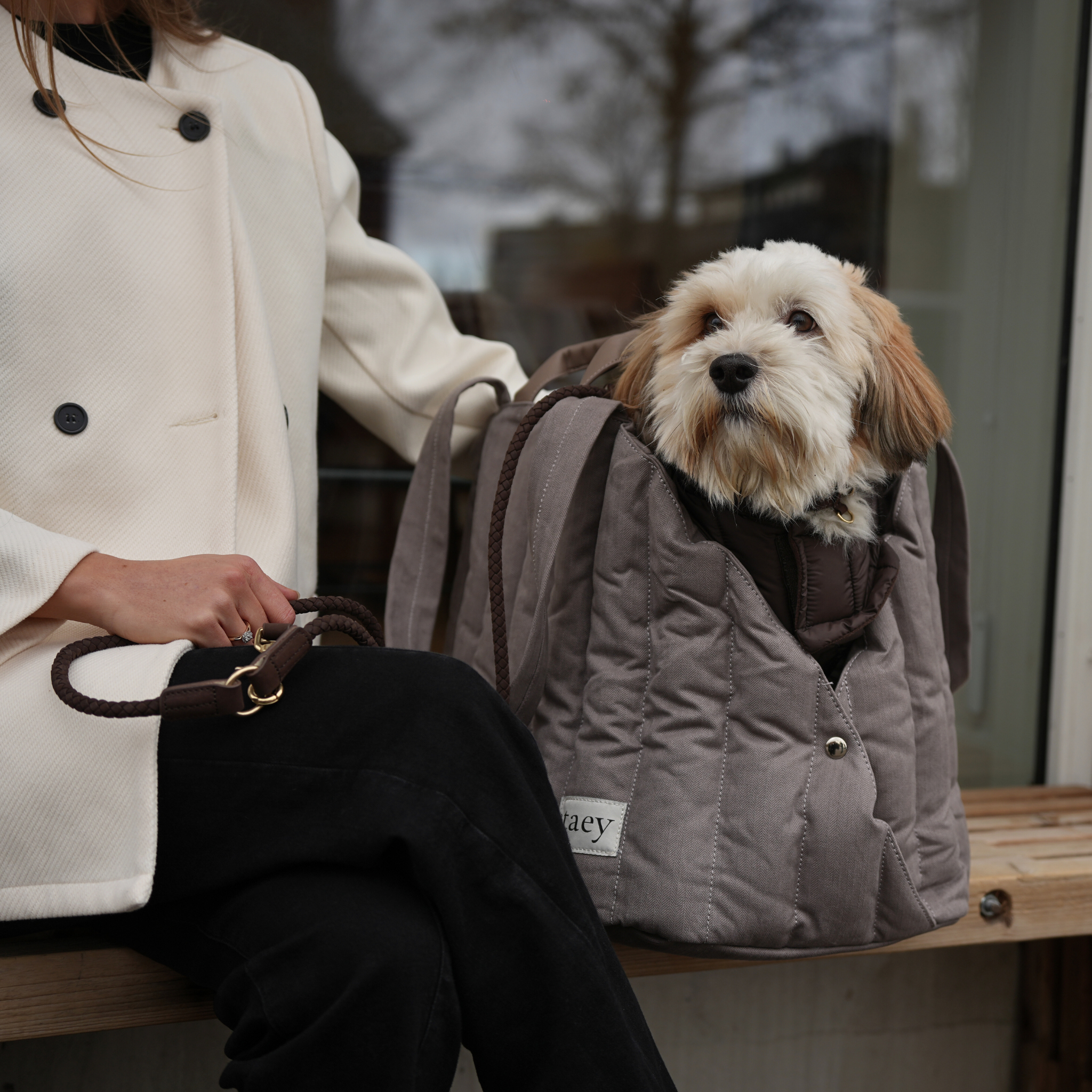 Staey – wholesale Pet carrier – Dog – Carrier Bag Elva | Taupe2