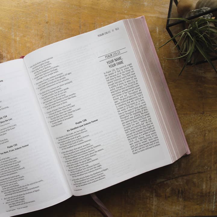 HarperCollins Christian Publishing - Wholesale Religion - ESV The Jesus Bible Leathersoft Over Board Pink3