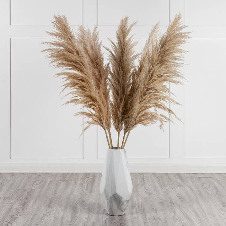 Mollie Sophia Ltd – Engroshandel Tørrede/pressede blomster – Naturligt pampasgræs 120cm tørret pampas til vase boligindretning