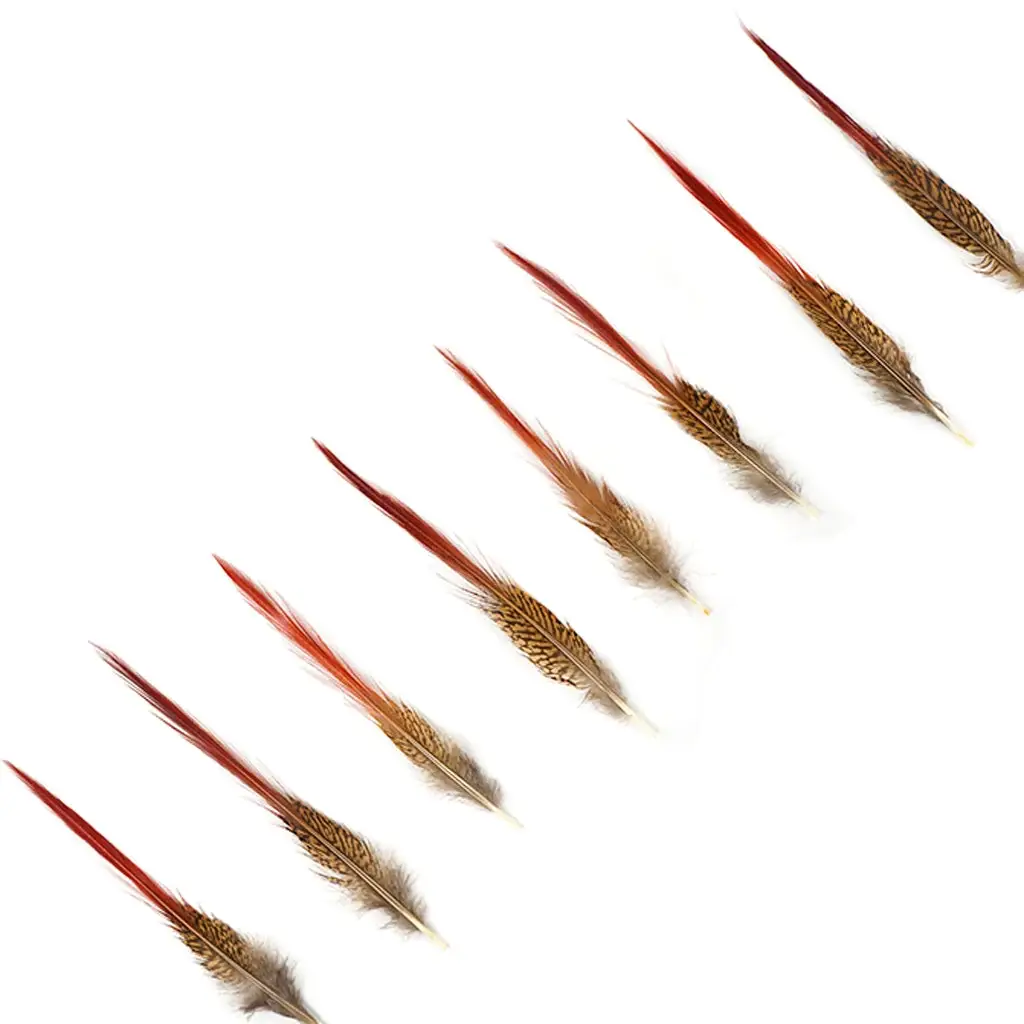 Zucker Feather Products - Vente Plume - Lot de 10 queues de faisan doré, rouge, 6 à 8 po, naturelles3