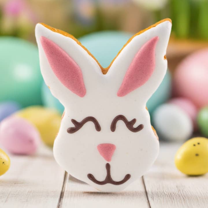 3" Decorated Dog Cookie – Easter Bunny | 25-Pack for wholesale by fetch! Dog Treats