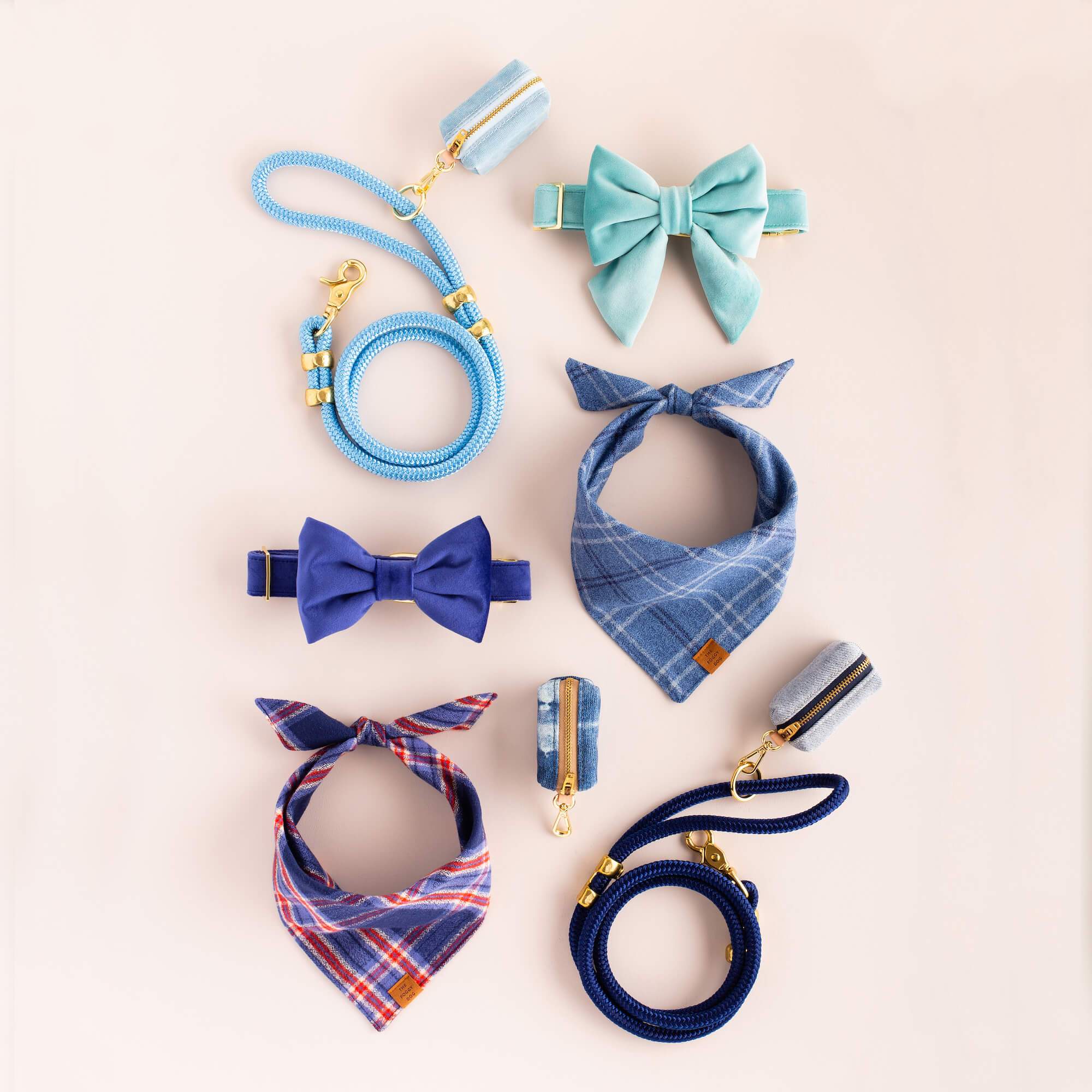 The Foggy Dog - Vendita all'ingrosso Collare - Cani - Collare Primaverile per Cani in Velluto Blu Uovo di Pettirosso4