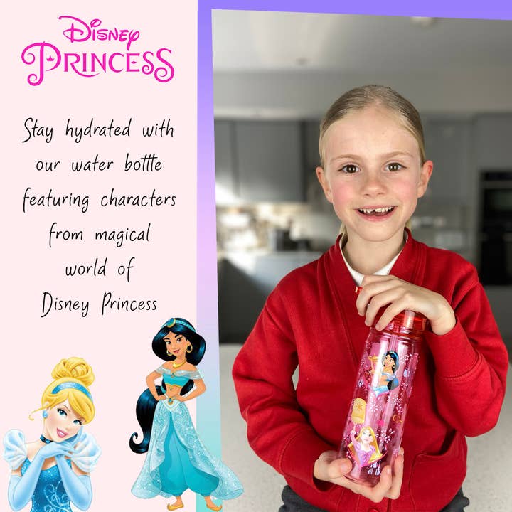 Fringoo Group Ltd – wholesale Water bottle – Water Bottle - Disney Princess1