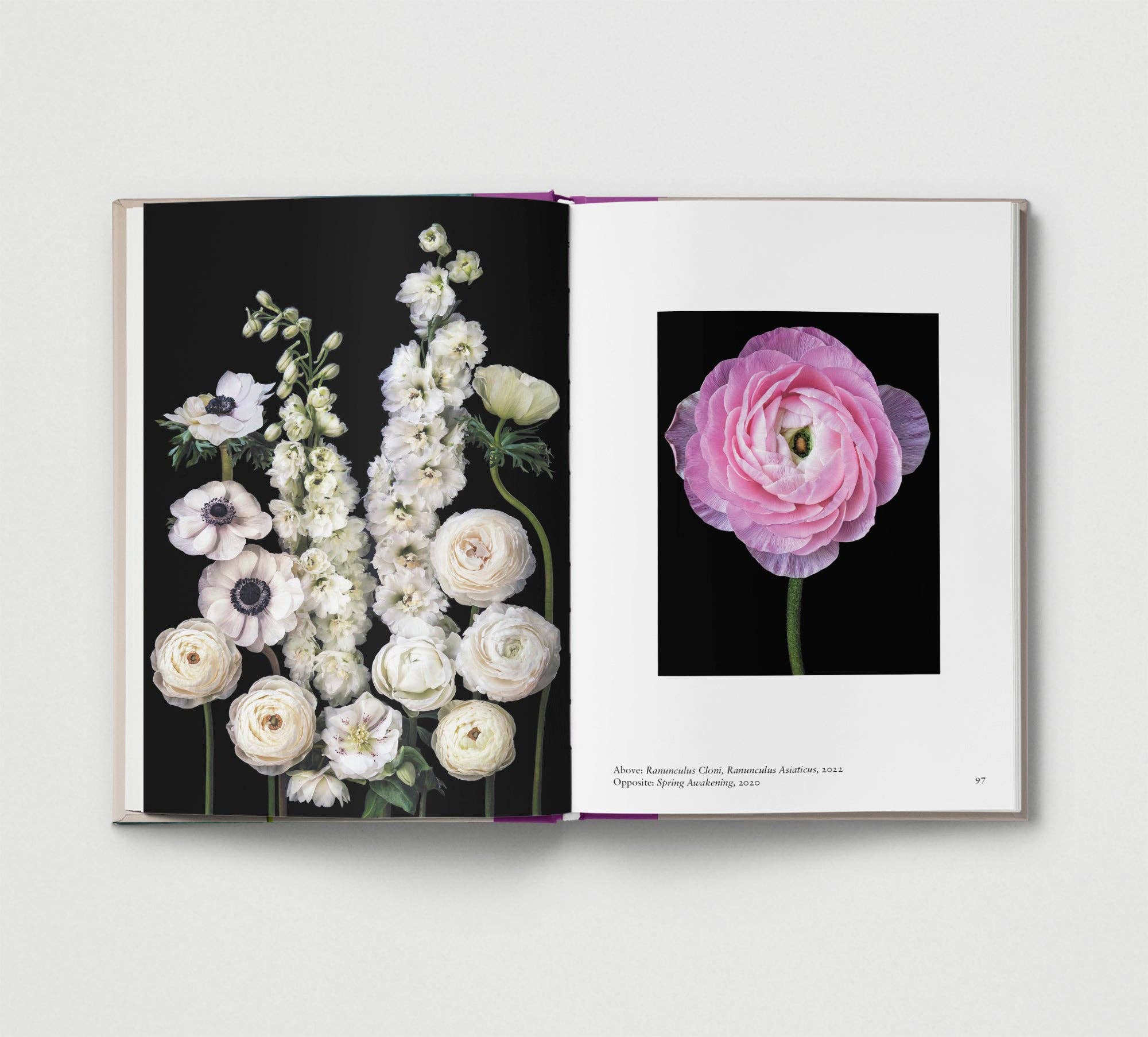 Hoxton Mini Press – wholesale Display book – Flower.5