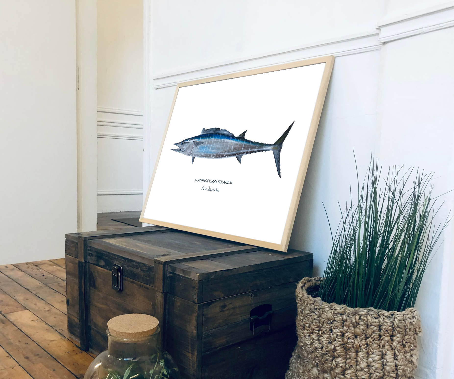 Varek Illustrations - Wholesale Art Print - Wahoo fish painting - reproduction on art paper4