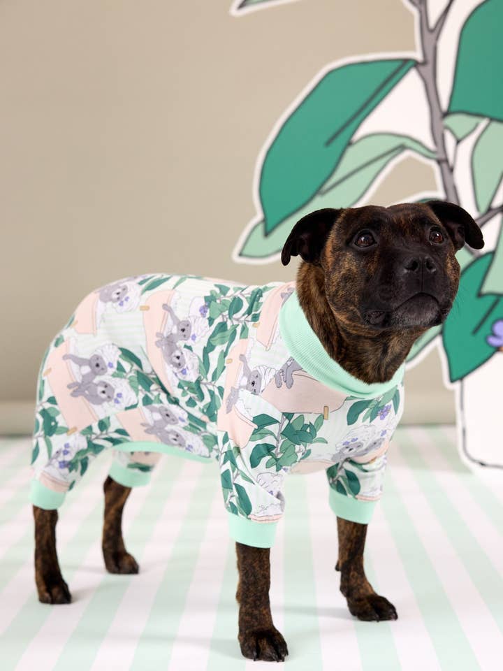 Pampered Pups Dog Onesie, Matches Blanket and PJs for wholesale by Darren & Phillip