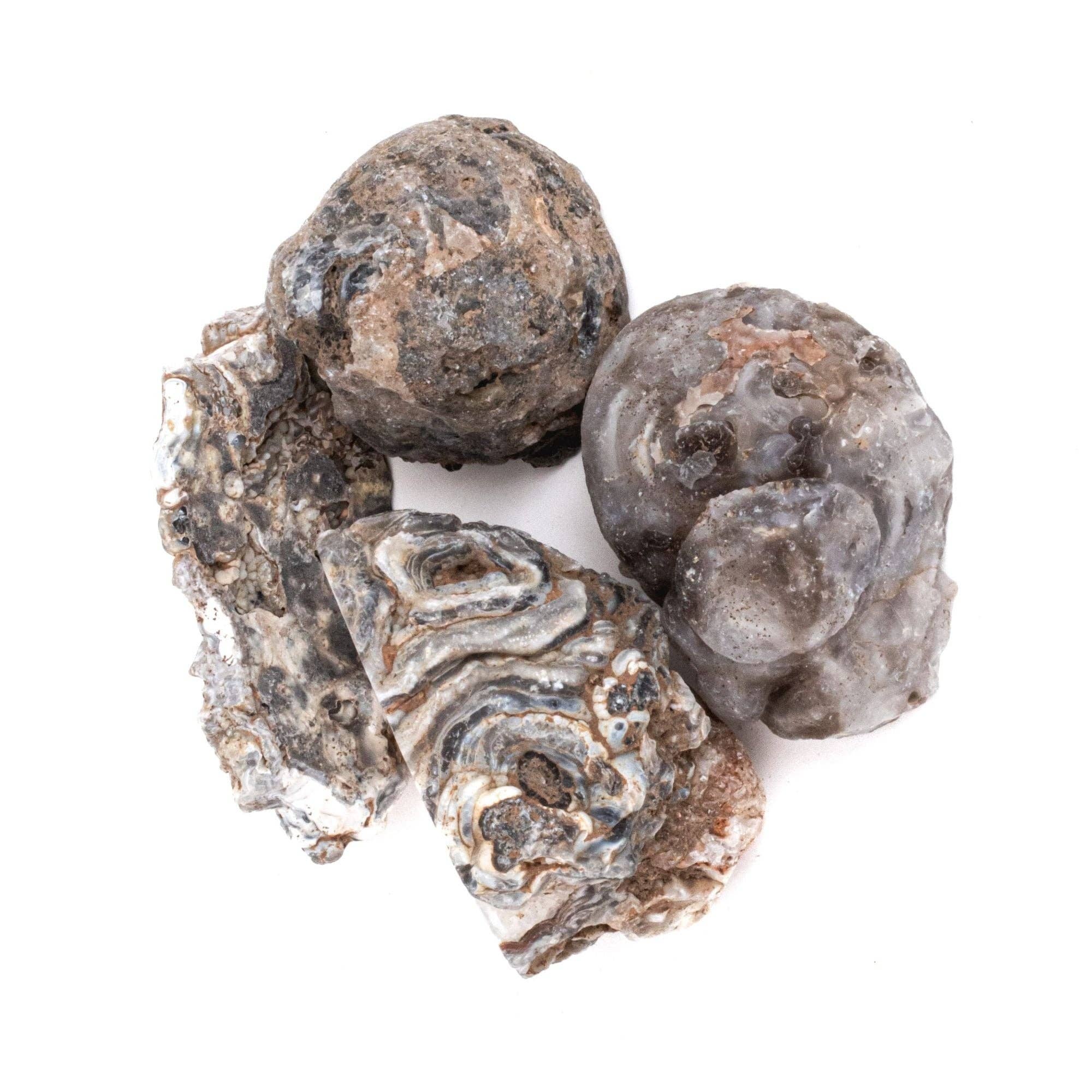 Tree of Life Gems - Wholesale Spiritual Stone/Crystal - NEW! Small Rough/Raw Agate Oco Geodes8