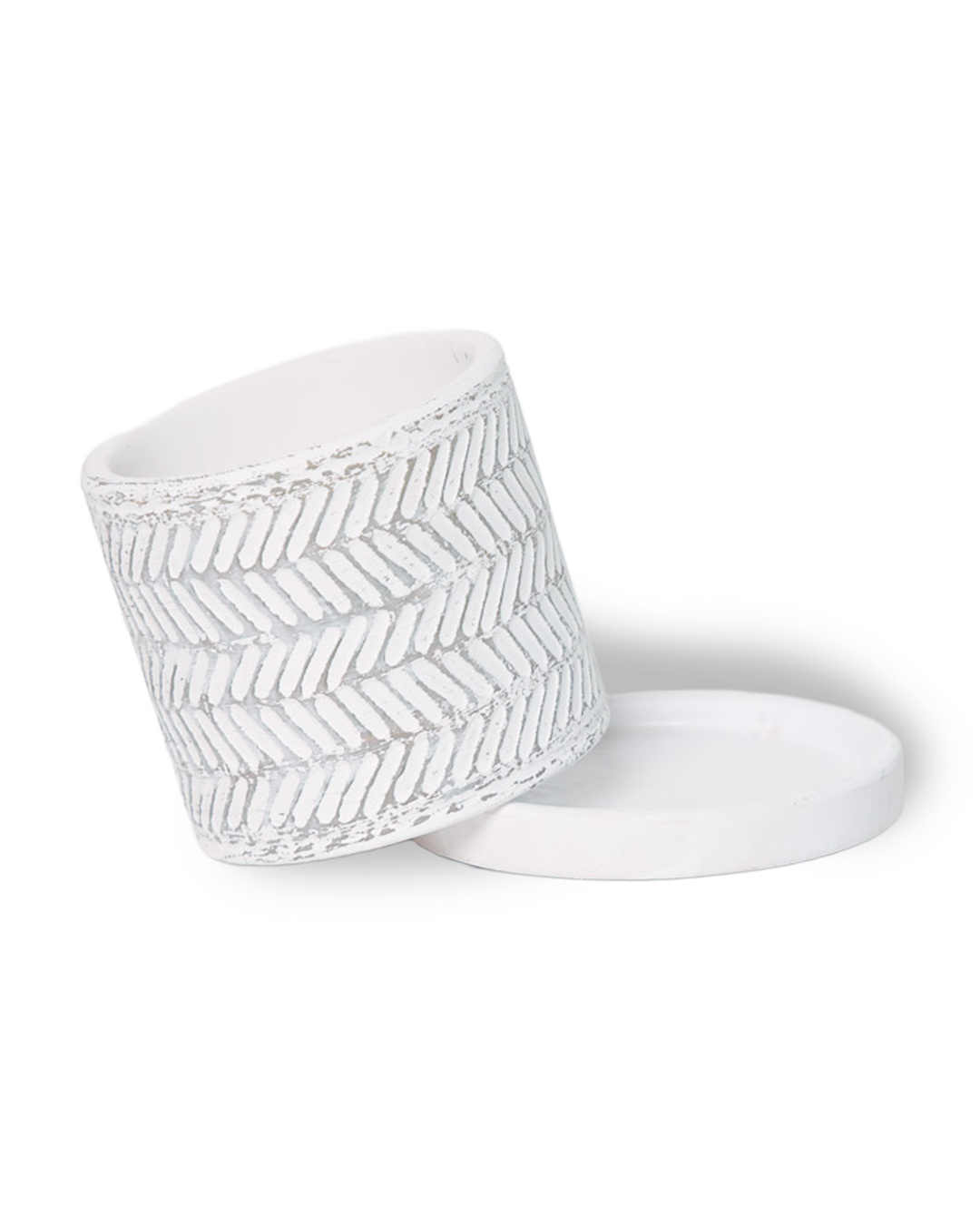 Chive - Wholesale Plant Pot - Balter Succulent Containers Cactus Pot And Saucer7