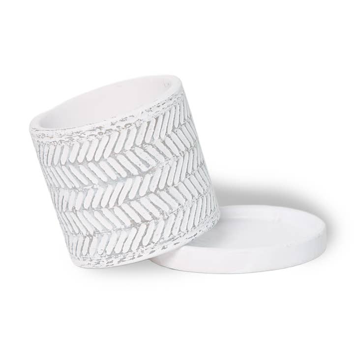 Chive - Wholesale Plant Pot - Balter Succulent Containers Cactus Pot And Saucer7