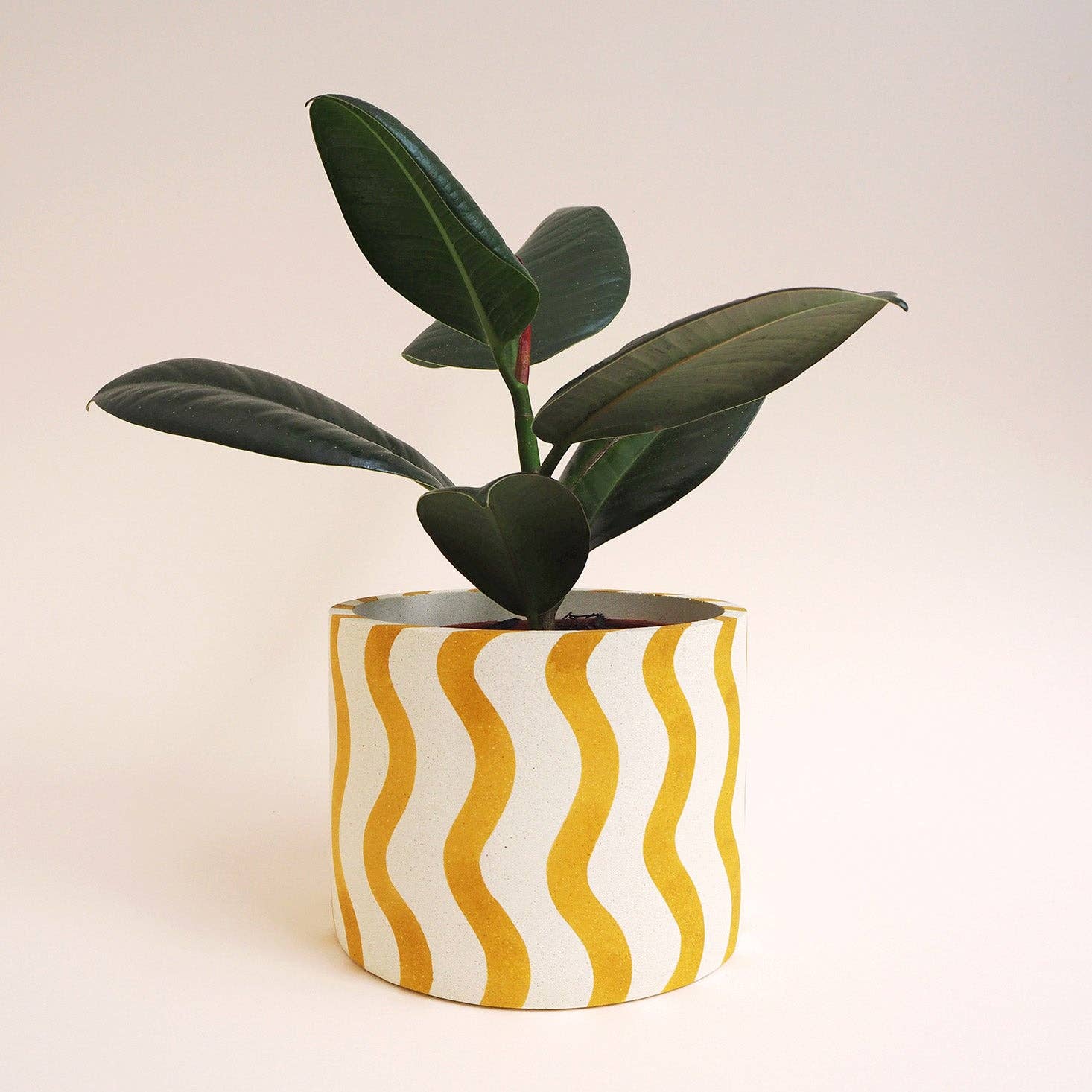 Hello Marilu - Wholesale Plant Pot - Large Stripes or Squiggles Jesmonite Pot1