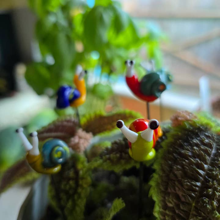 Sunshine Glass Gifts - Wholesale Garden/Lawn Stake - Snail Plant Pals, House plant and Fairy Garden Decor7