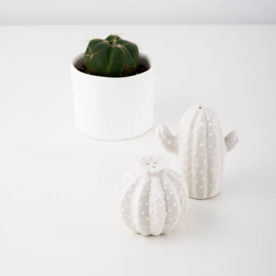 Weddingstar Inc. – Engroshandel Salt- og peberbøssesæt – Unikke salt- og peberbøsser i kaktusdesign1