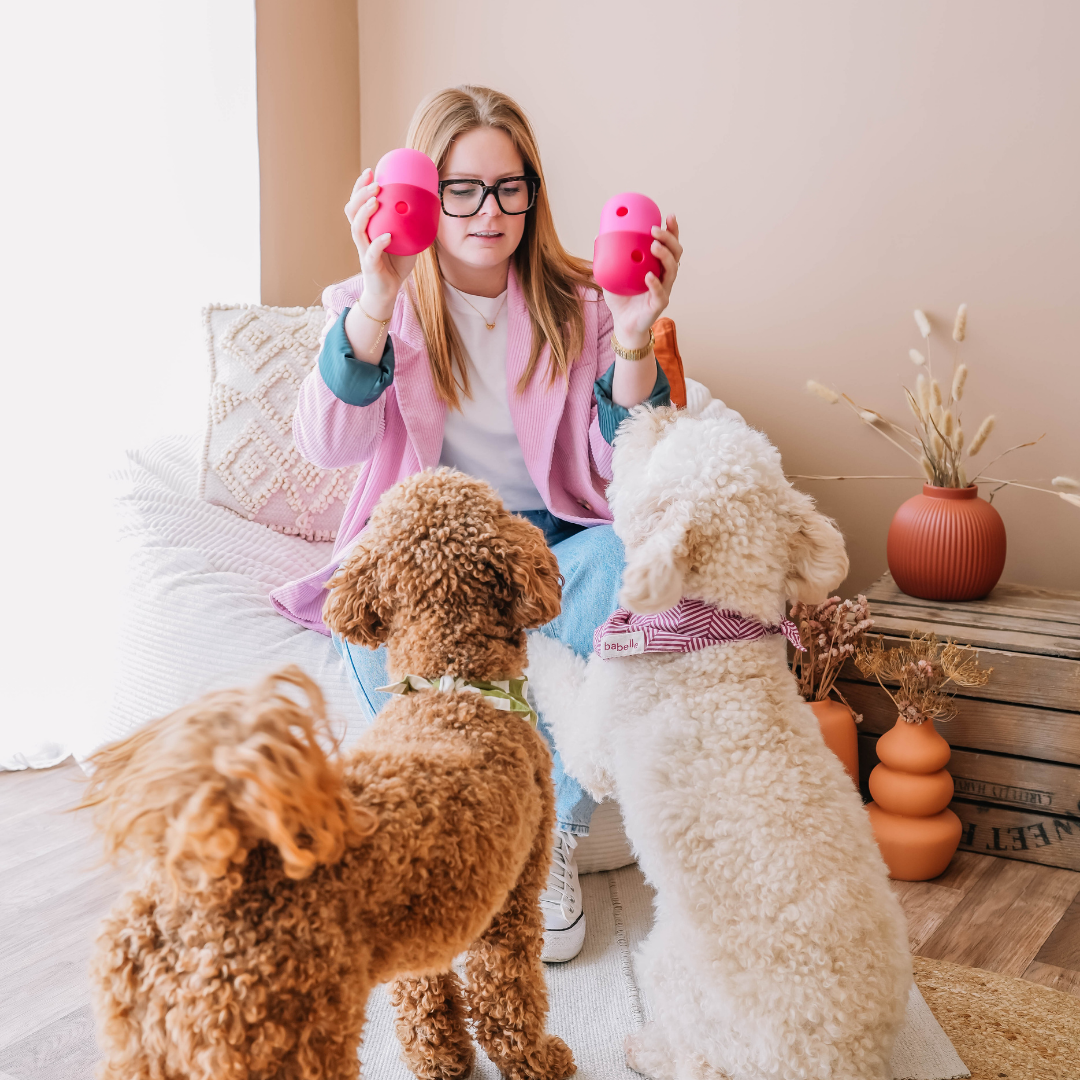 Babelle For Dogs - Wholesale Speeltje - Hond - De Fun Feeder - Snackdispenser - Lik speeltje7