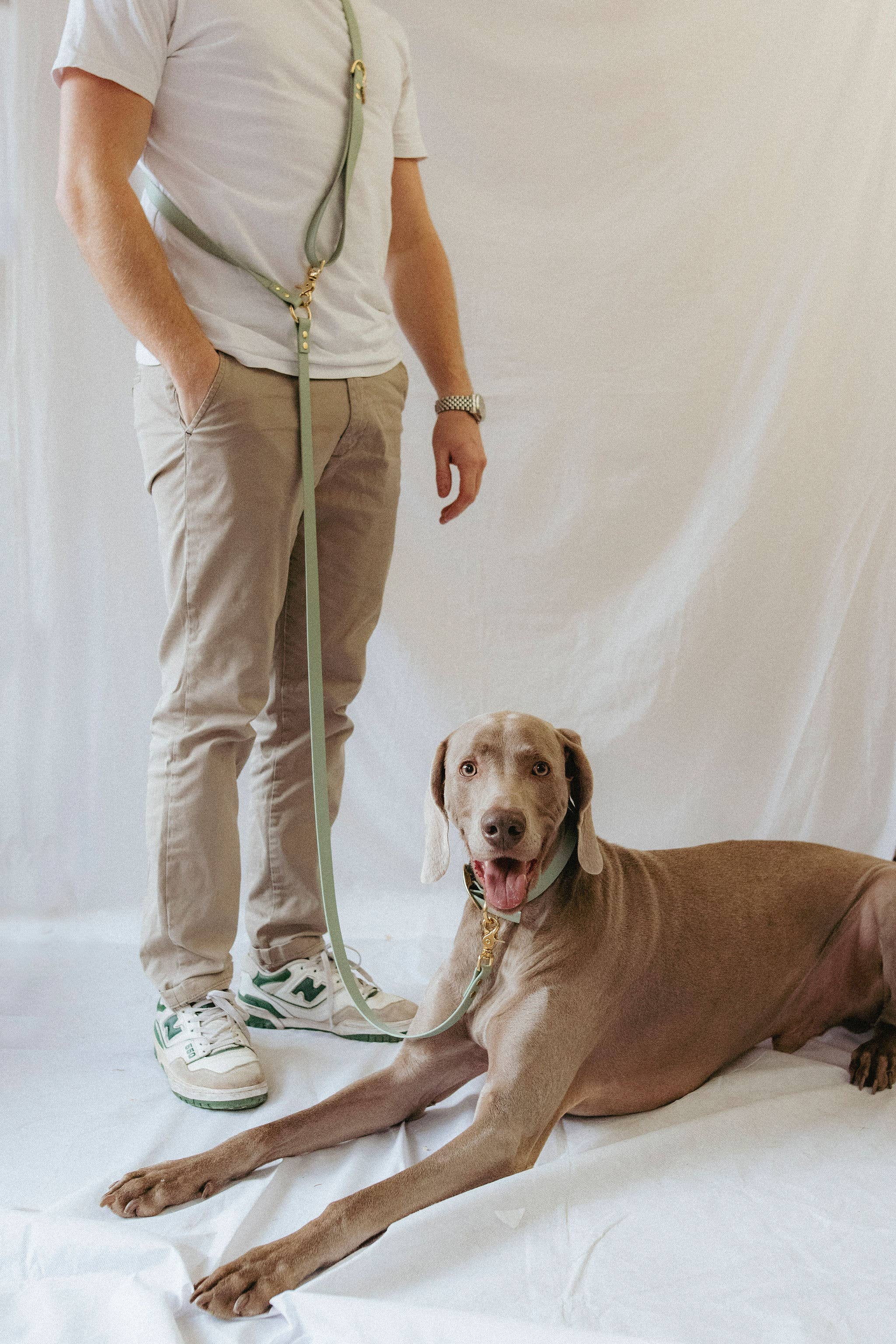 Oscar & co - Wholesale Pet Collar - Dog - Waterproof dog collar - sage1