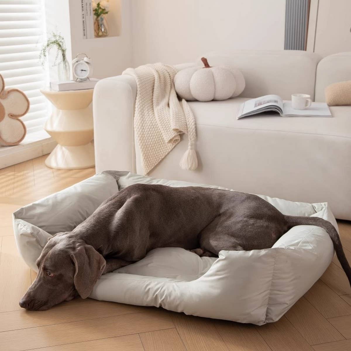 Wholesale Waterproof Pet Bed for Indoor & Outdoor Use_CWMM7648 for your ...