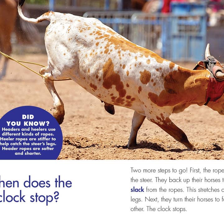 Amicus Publishing - Wholesale Sports & Recreation - Curious about Team Roping3