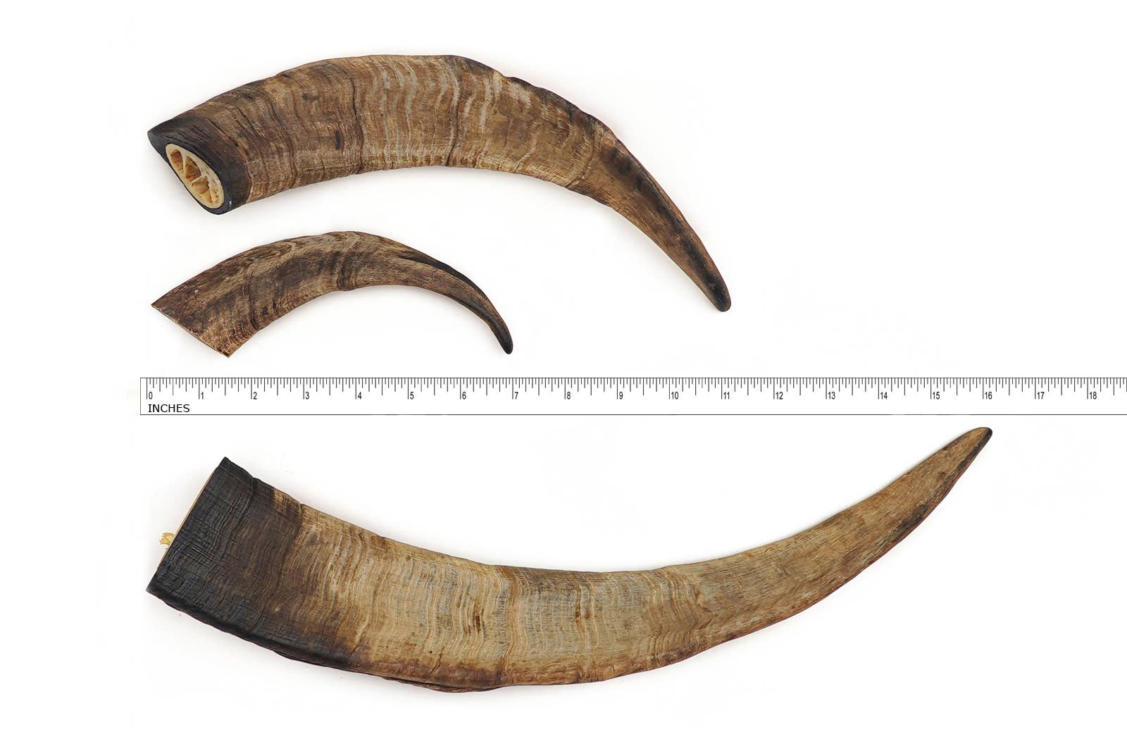 Herders Choice Chews - Wholesale Pet Treats - Dog - 
🐐 The GOAT Dog Chew Bulk Pack Small (1kg.) 12 plus  Horns1