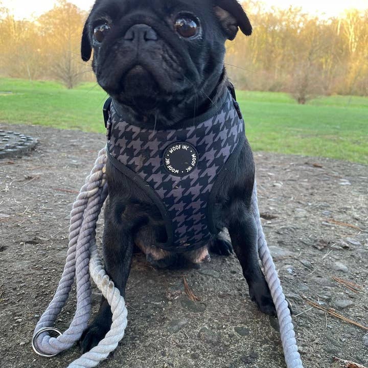 WOOF INC – Großhandel Haustiergeschirr – Hund – Verstellbares Hundegeschirr mit schwarzem Hahnentrittmuster6