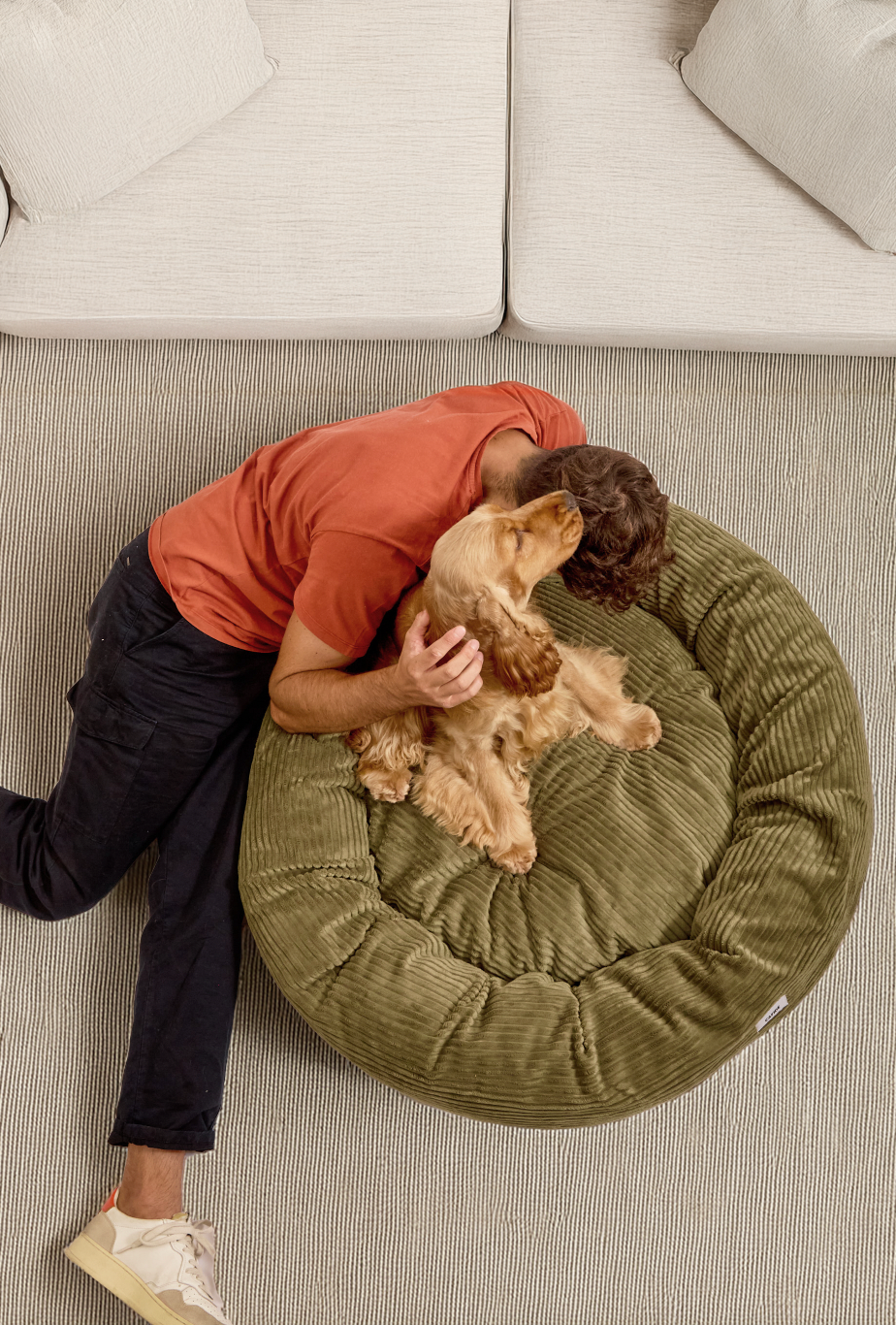 CAFIDE - Wholesale Pet Bed - Dog - Green Corduroy Dog Bed, Nuba1