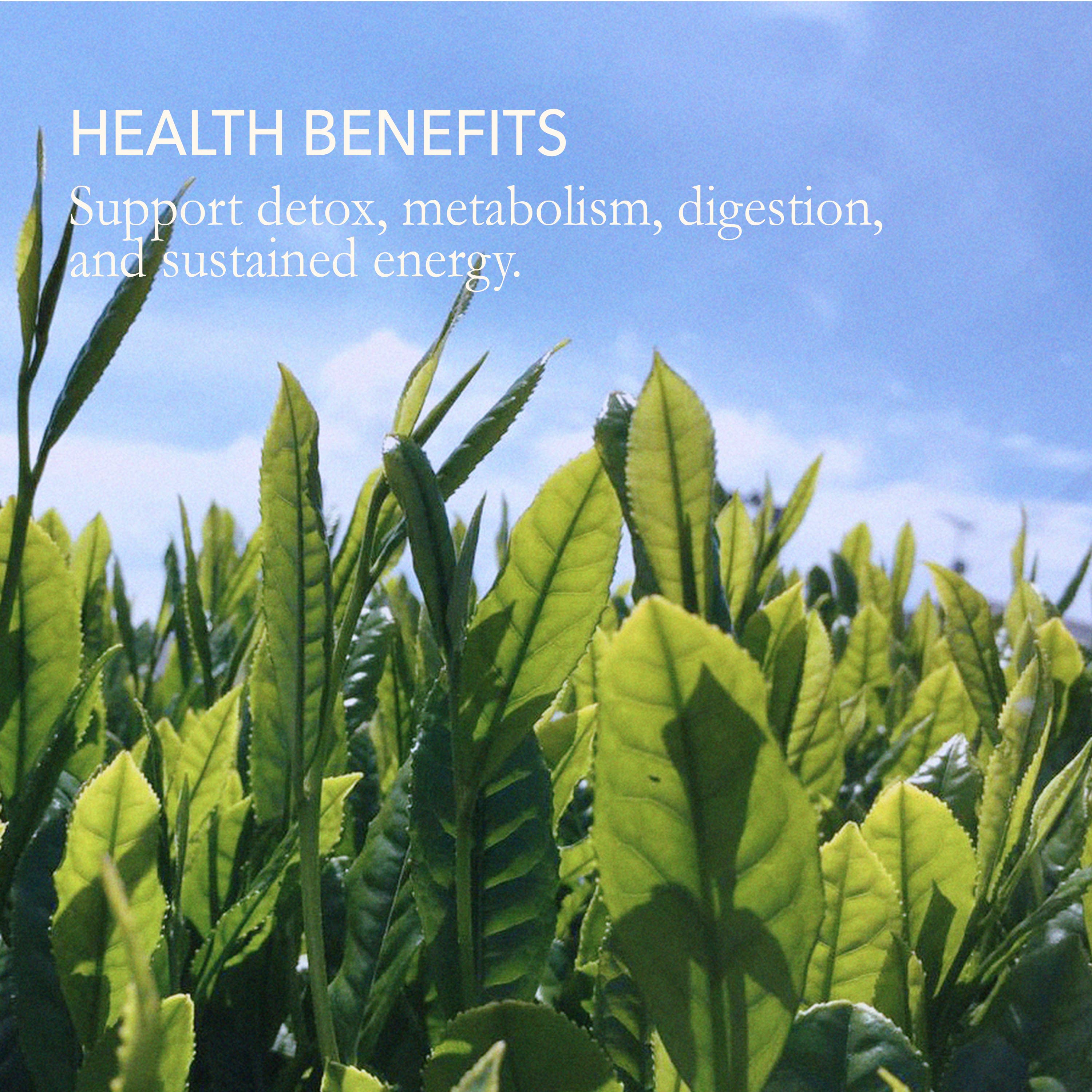 Japanese Green Tea Co. – Engroshandel Sundheds-/detox-te – Matcha Genmai-cha - Premium japansk grøn te (7 oz)5