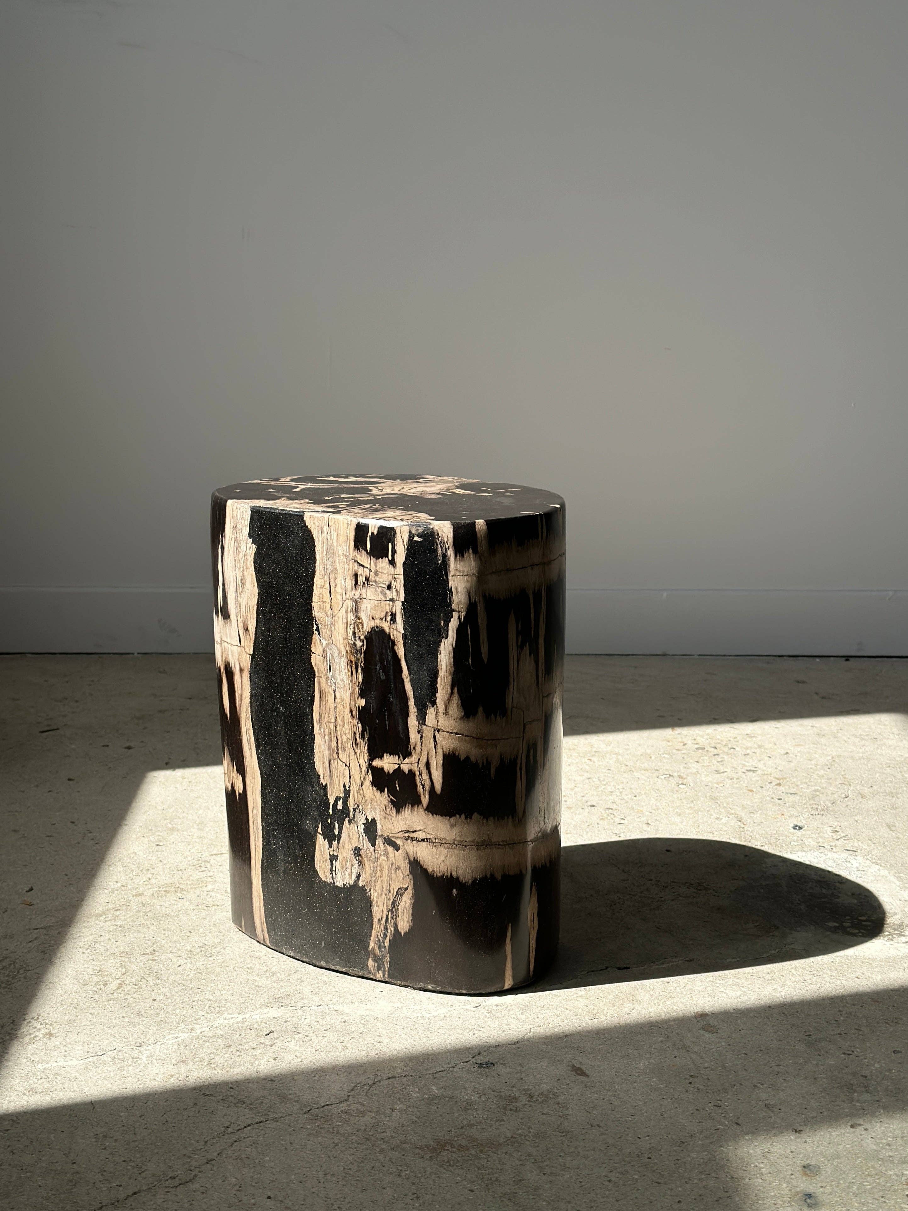 Office Objets - Vente Tables d'appoint - Table d'appoint en bois pétrifié48