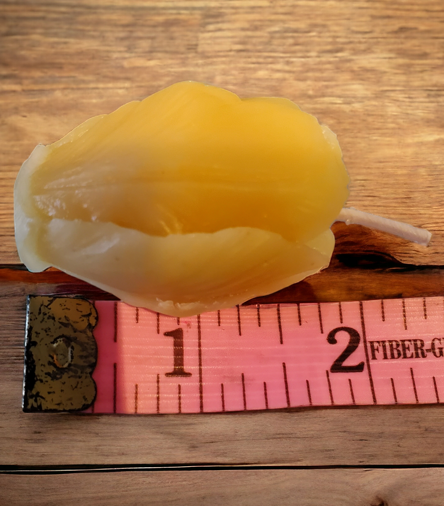 Different Branches – wholesale Novelty candle – Handmade in Ohio Single pure beeswax tulip candle no drip5