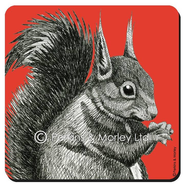 röd ekorre kylskåpsmagnet i melamin för wholesale av Perkins & Morley