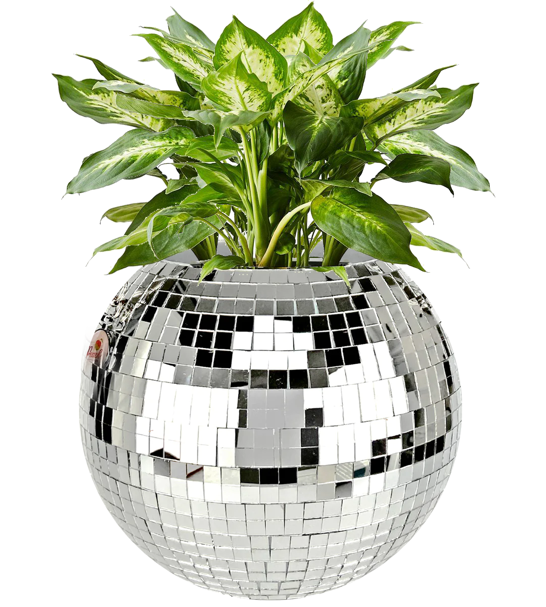 Nomatiq - Wholesale Plant Pot - Disco Ball Planter3