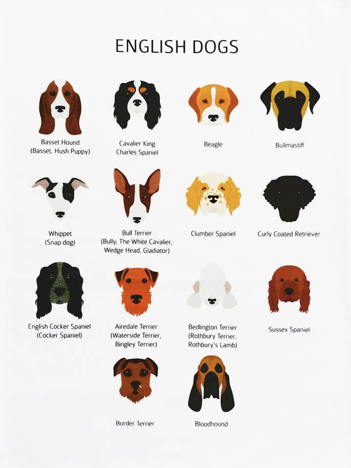 English Dogs - Grand torchon en coton pour la vente par Half a Donkey