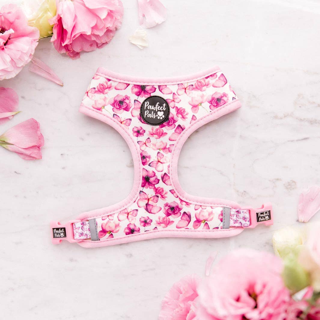 Pawfect Pals - Vente Harnais – chien - You Give Me Butterflies - Harnais réversible pour chien2