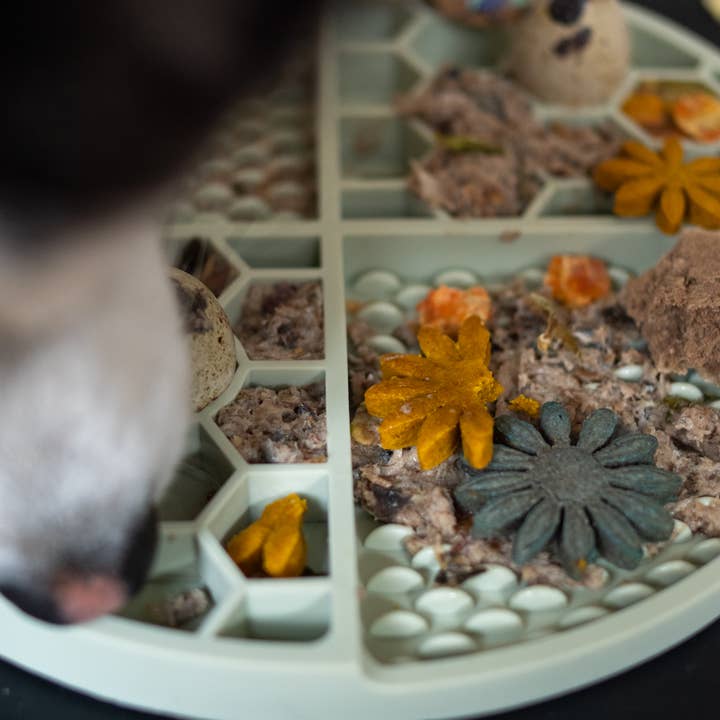 LIEVICK - Vente Tapis de gamelle – chien - Tapis à lécher - Lievick vert2