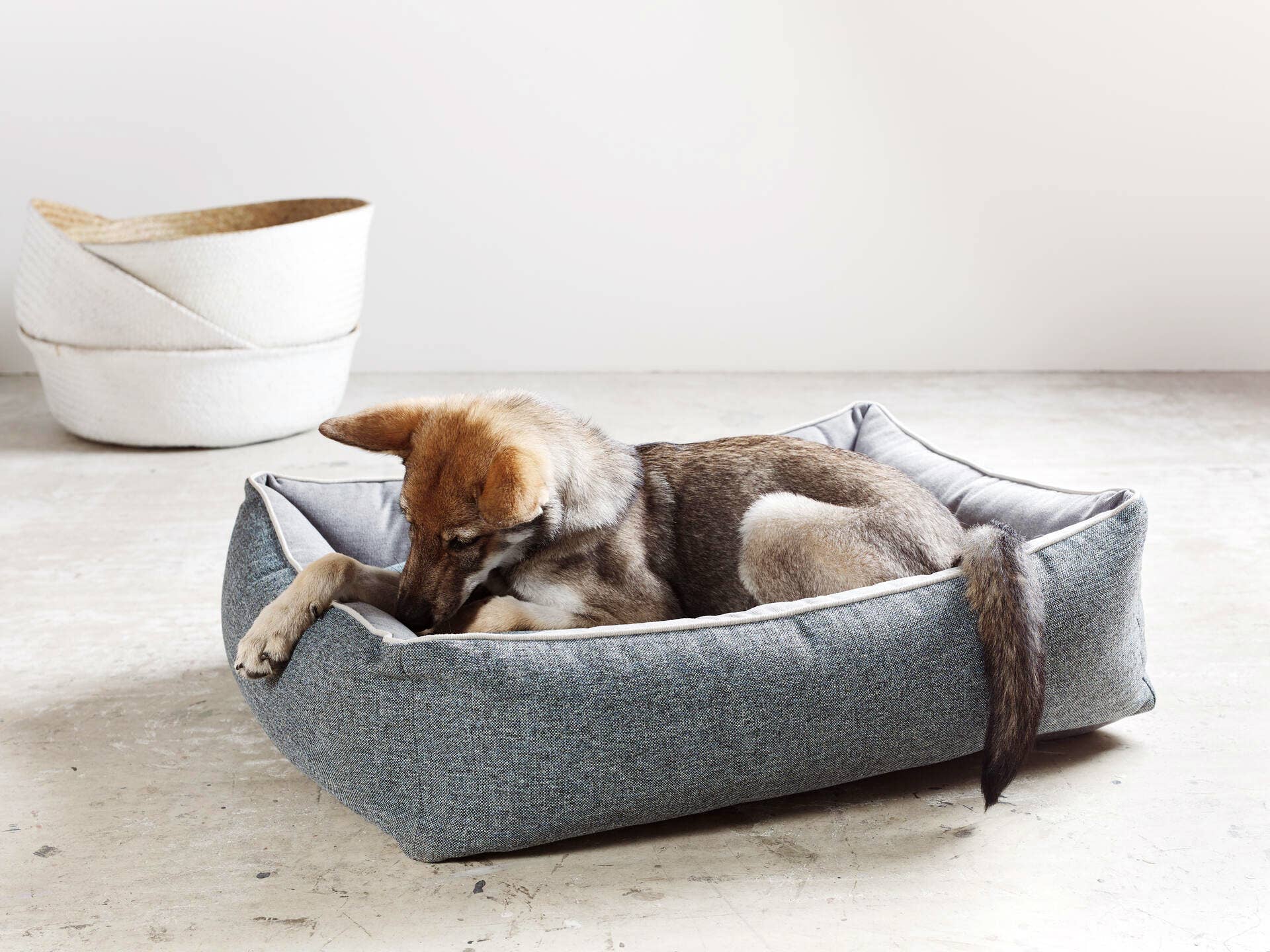 LABONI - Volentis GmbH - Wholesale Pet Bed - Dog - SCALA classic pet bed3