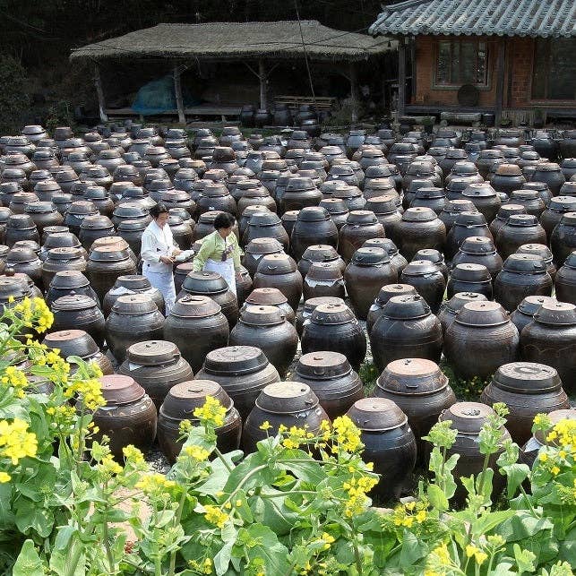 Kim'C Market - Wholesale Honey - Kisoondo Rice Syrup