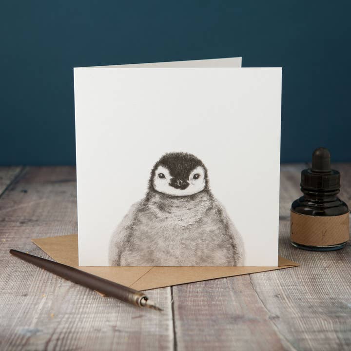 Peeping Penguin Card for wholesale by Lucy Coggle Designs