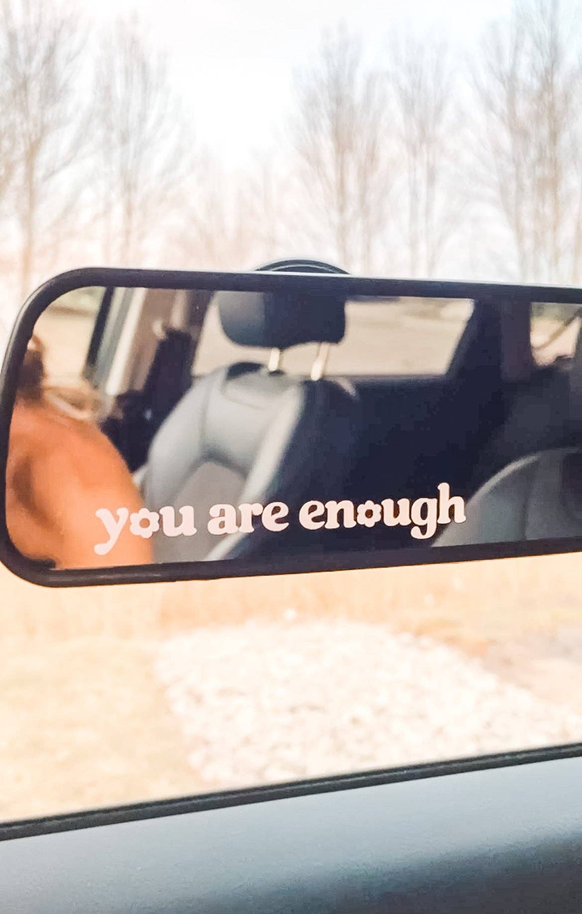 Ruth Artistry & Decor LLC - Wholesale Wall Decal/Stickers - Coastal Cowgirl Mirror Decals5