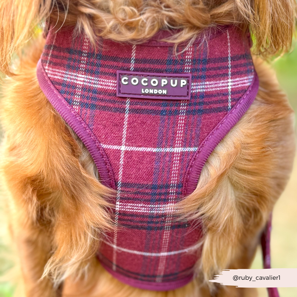 Cocopup London - Wholesale Pet Harness - Dog - Mulberry Plaid Adjustable Neck HARNESS6