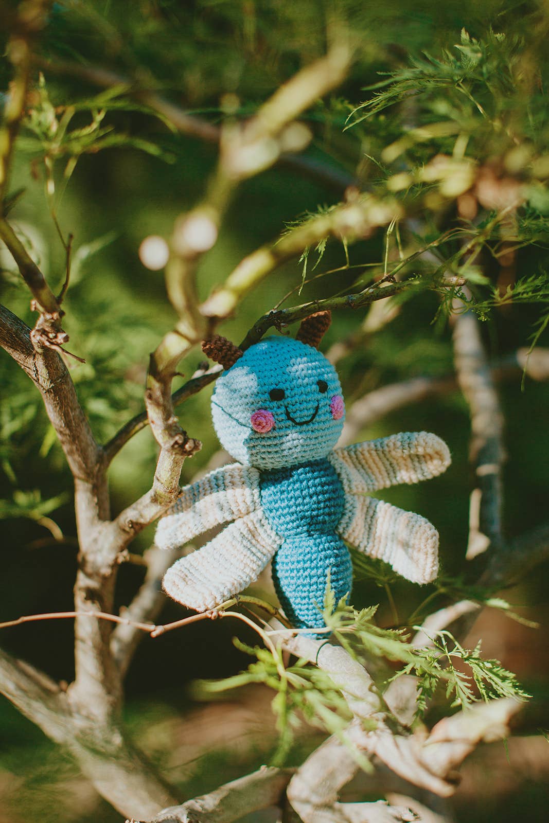 Pebble - Wholesale Handheld Rattle - Baby - Winged Dragonfly Rattle - Garden-Themed Toy1