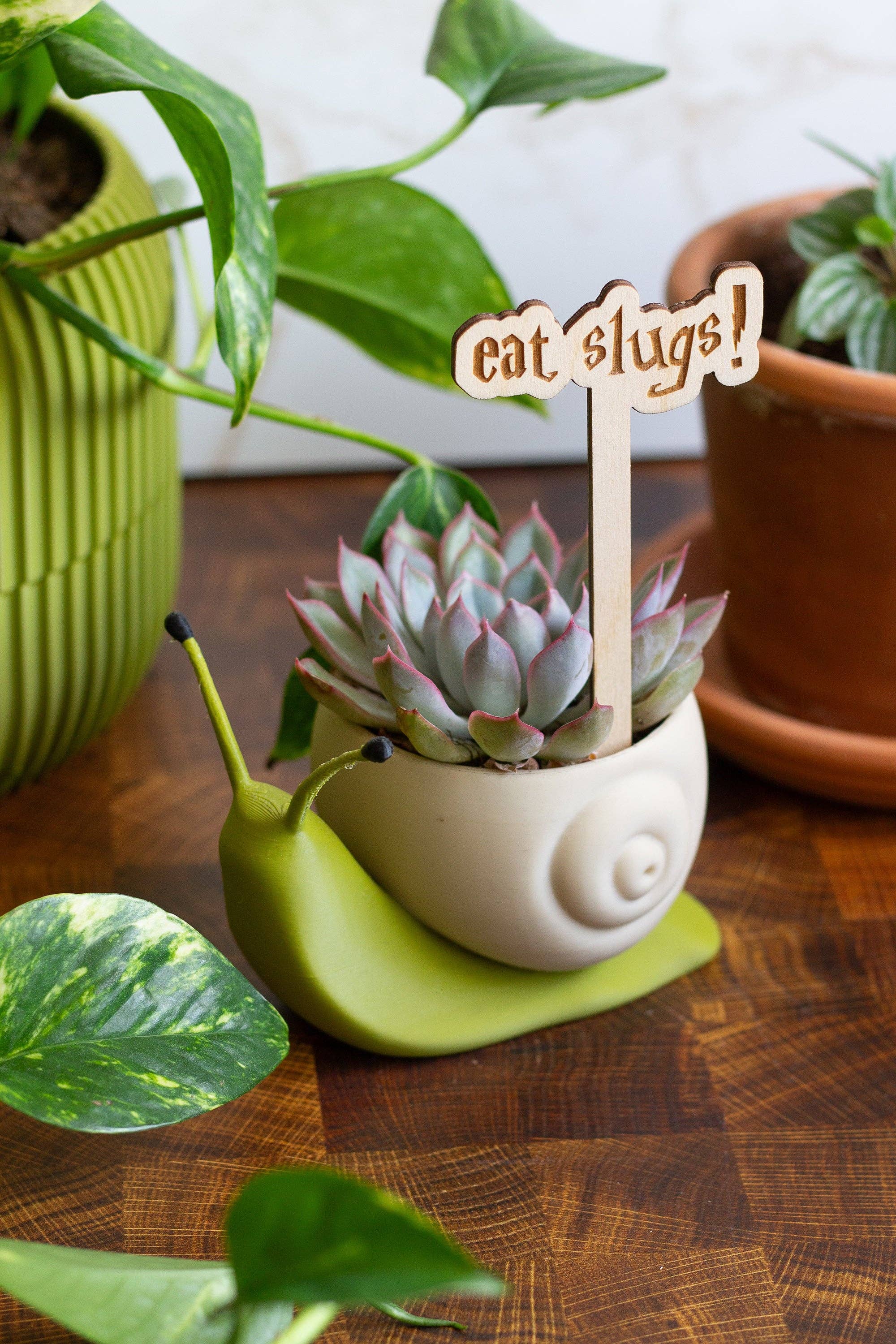 The Print Pantry - Wholesale Garden/Lawn Stake - Harry Potter Wooden Plant Markers8