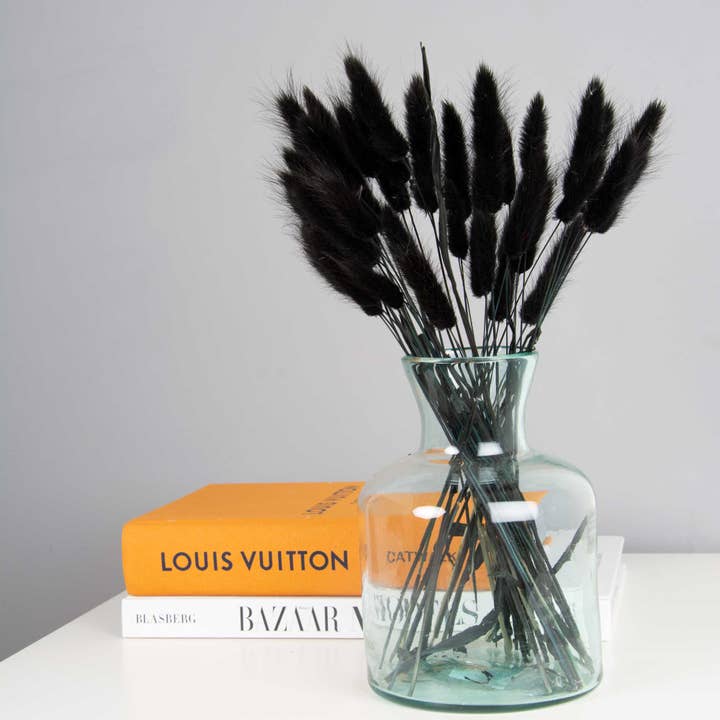 pampas studio uk - Wholesale Dried/Pressed Flowers - Bunny Tails Black