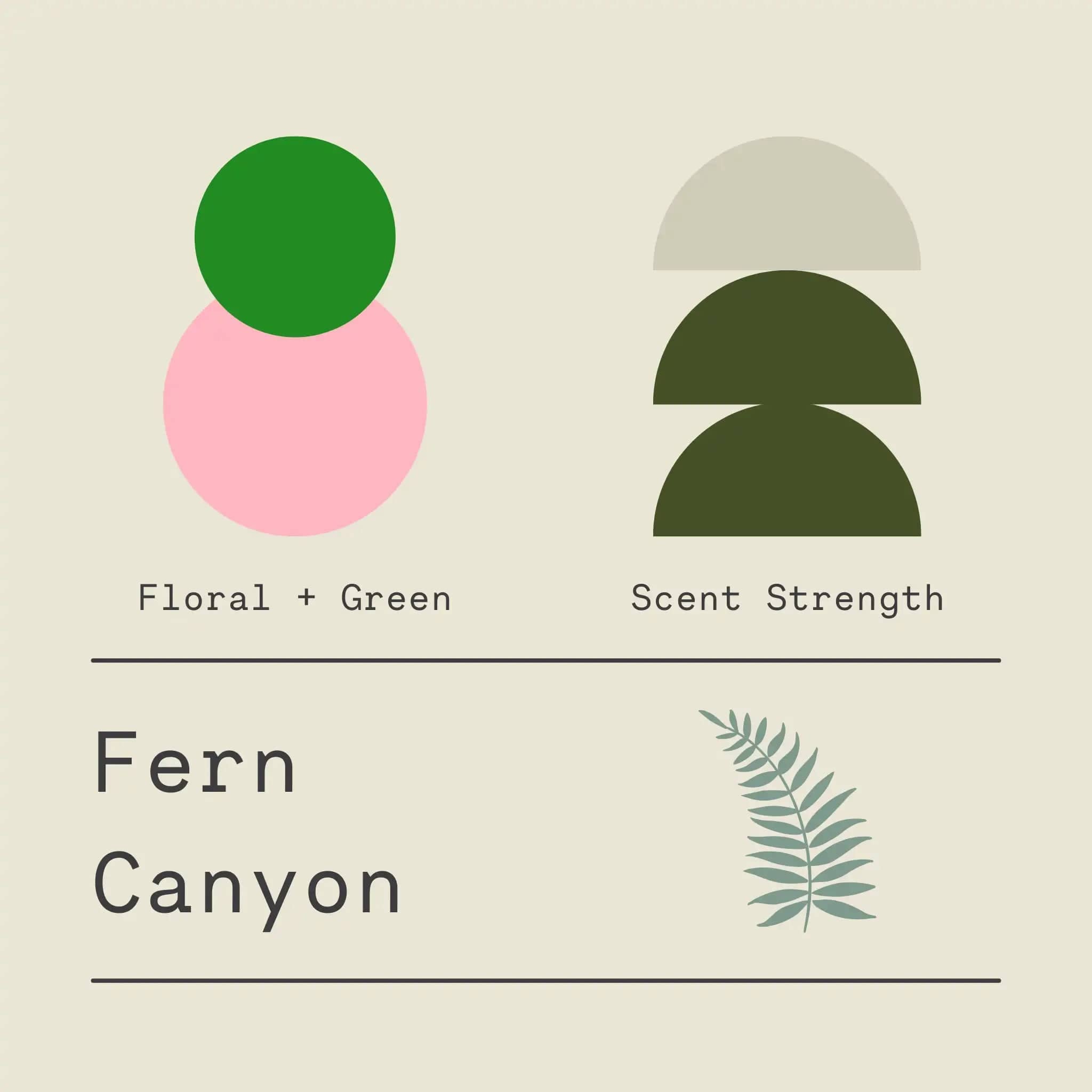 Sawdust & Embers - Wholesale Pot/gevulde kaars - 🌿Fern Canyon – Signature Kaars4