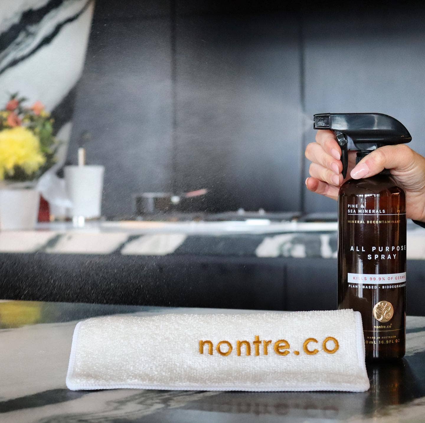 nontre.co - Wholesale All-purpose cleaning spray - Antibacterial All-Purpose Spray 500ML, Pine & Sea Minerals3