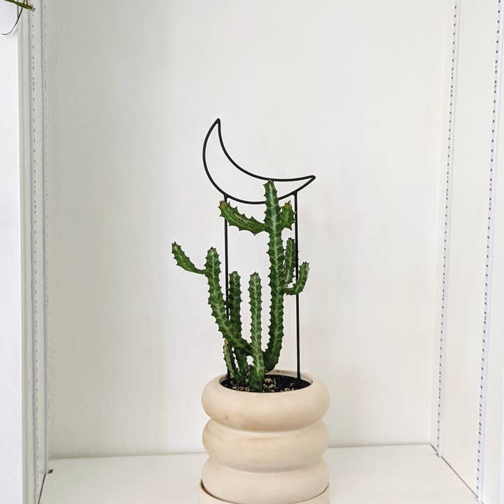 PlantsNsht - Wholesale Trellis - Metal Crescent Moon Trellis