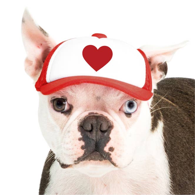 Cappello da camionista Heart l per cani per la vendita all'ingrosso da parte di PupLid