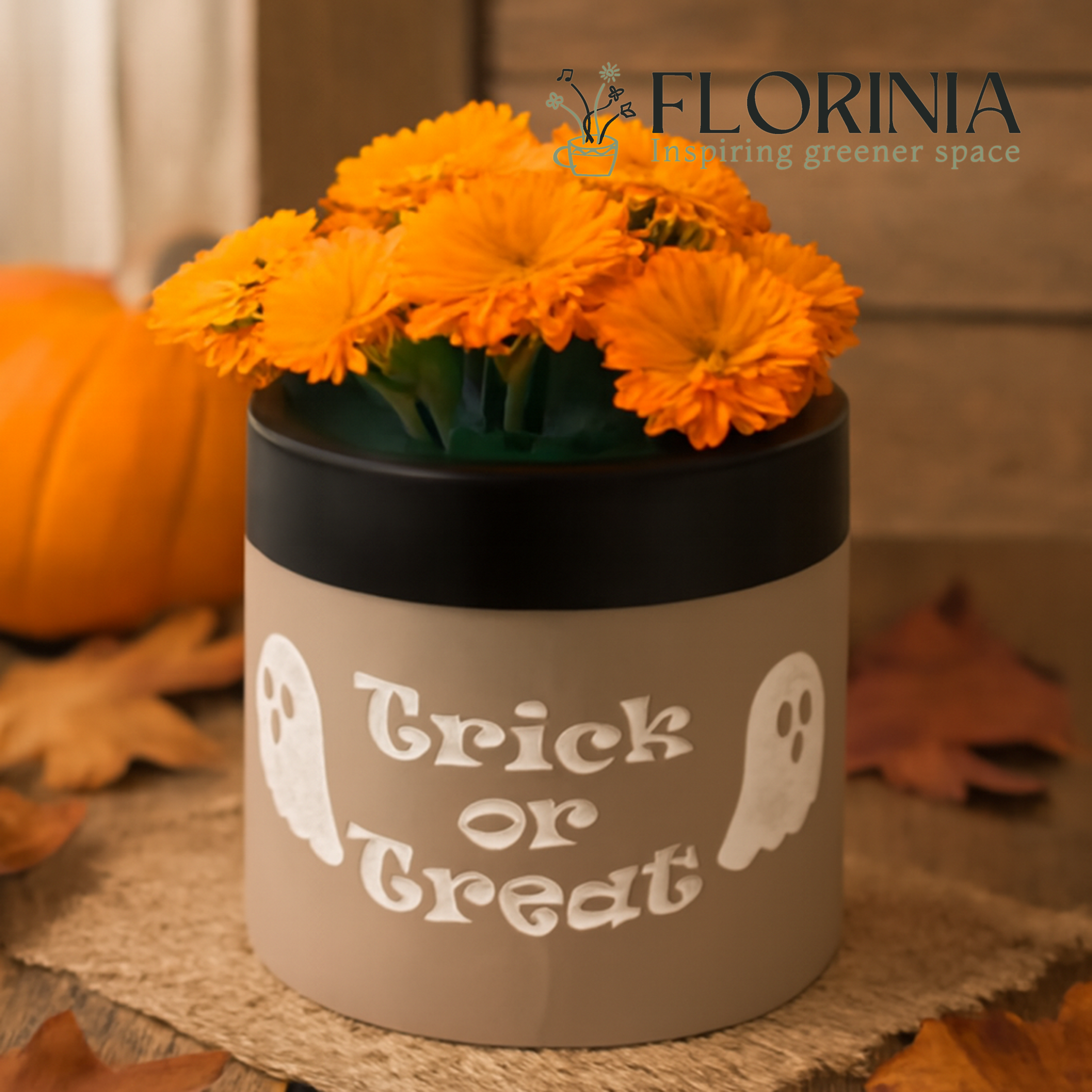 Florinia - Wholesale Plant Pot - “Trick or Treat” Concrete Pot with Ghost Motif – Planter or Votive0